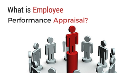 what-is-employee-performance-appraisal