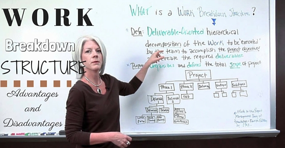 Work breakdown structure
