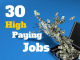 Top 50 Highest Paying Jobs or Careers in the World