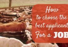 How to Choose the Best Candidate or Applicant for a Job How to choose the best candidate for a job