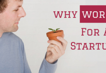 Why work for Startup Companies: Are they Fad or worth it? Why work for startup companies