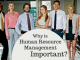 What is Human Resource Management? Why is it Important? importance of hrm