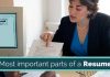 What is the Most Important or Main Parts of Your Resume? important parts of resume