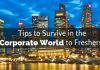 How to Survive in the Corporate World? 30 Best Tips survive in corporate world