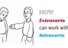 How Extroverts and Introverts Can Work Together? extroverts working with introverts