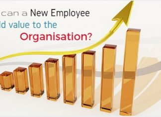 How can a New Employee add Value to an Organization? new employee add value
