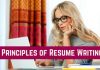 12 Basic and Important Principles of Resume Writing resume writing principles guidelines