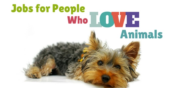 Jobs for People Love Animals