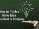 How to Pitch an Idea to your Boss or Company? how to pitch an idea to your boss