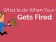 What to do When Your Boss gets Fired or Resigns? when boss gets fired