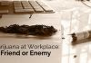 Marijuana in the Workplace: Is It Your Friend or Enemy? marijuana at workplace