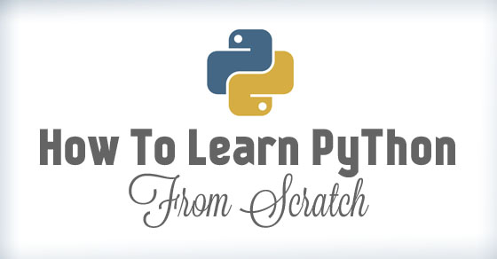learn python from scratch