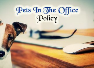 Pets or No Pets in the Office Policy: 14 Important Guidelines pets in office policy