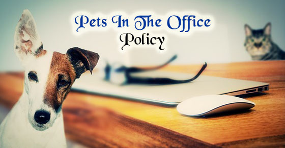 pets in the office policy