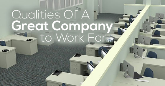 qualities of great company