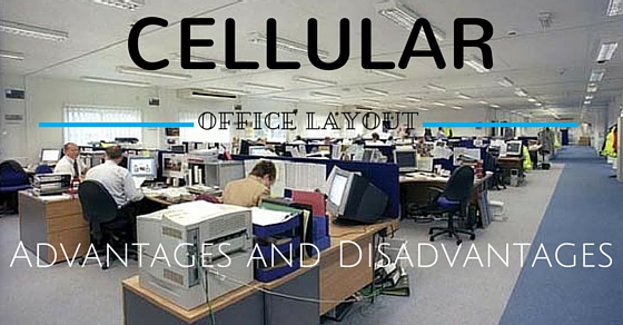 https://content.wisestep.com/wp-content/uploads/2016/06/Cellular-Office-Layout-Advantages-Disadvantages.jpg