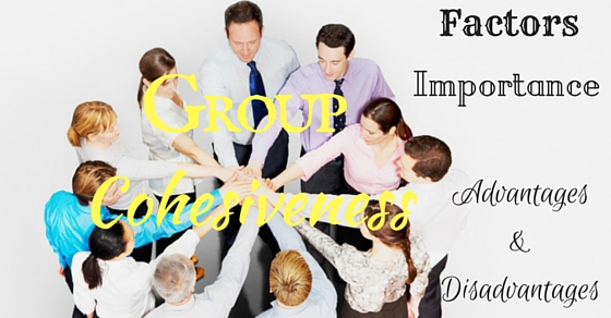 Group Cohesiveness process