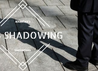 Job Shadowing – Top 20 Advantages and Disadvantages Job Shadowing Advantages Disadvantages