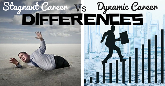 Stagnant Dynamic Career Differences