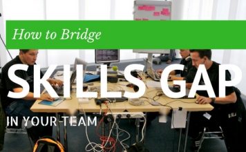 How to Bridge Skills Gap in your Team: Best Tips How Bridge Skills Gap in Team