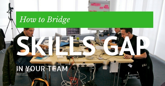 How Bridge Skills Gap in Team