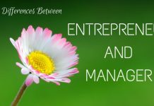 The Difference Between Entrepreneur and Manager Differences Between Entrepreneur and Manager