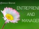 The Difference Between Entrepreneur and Manager Differences Between Entrepreneur and Manager