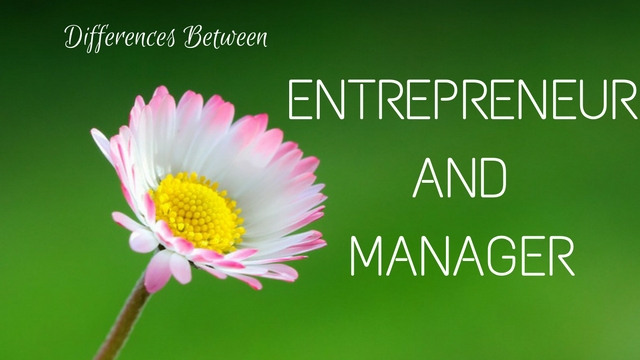 Differences Between Entrepreneur and Manager