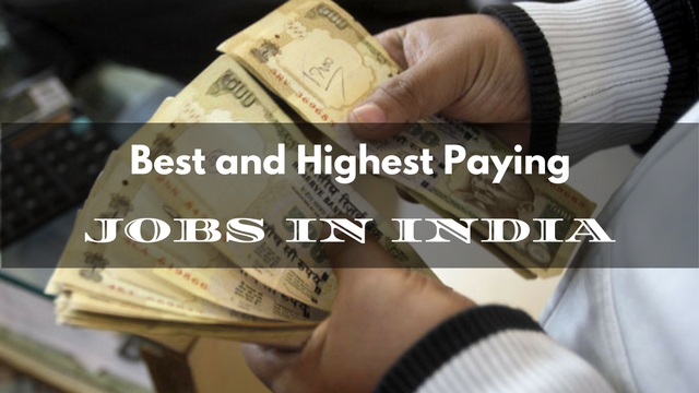 Highest Paying Jobs in India