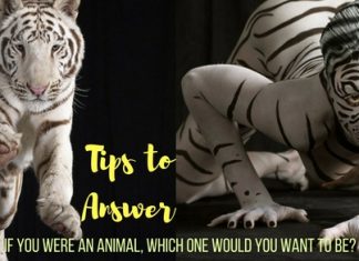 If You Were an Animal, Which One Would You Want to Be? Question If You Were an Animal