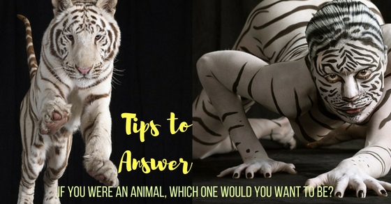 If You Were an Animal, Which One Would You Want to Be? Question - Wisestep