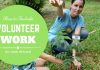How to Include Volunteer Work on Resume and Stand Out? Volunteer Work on Resume
