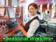 Hiring Seasonal Workers or Employees: 13 Recruiting Secrets Seasonal Workers