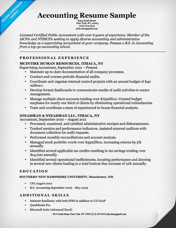 24 Best Finance Resume Sample Templates Wisestep