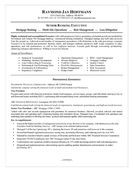 bank executive resume