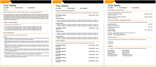 best resume template ever