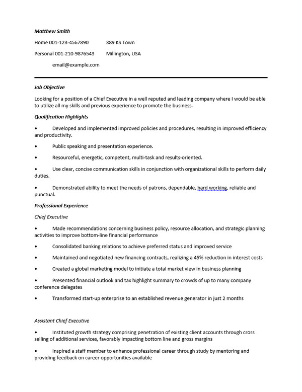 ceo resume samples free