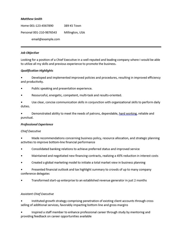 24 Award Winning CEO Resume Templates