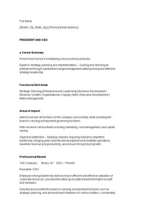 free ceo resume templates google docs