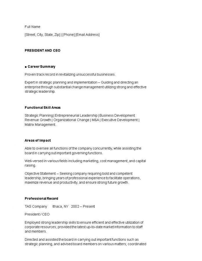 24 Award Winning CEO Resume Templates - Wisestep