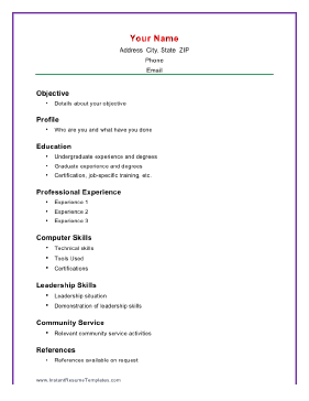 computer skills resume