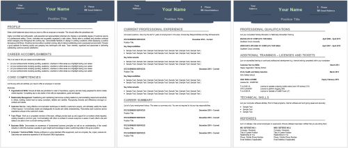 contemporary resume format