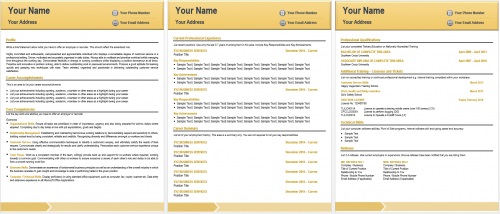 contemporary resume sample