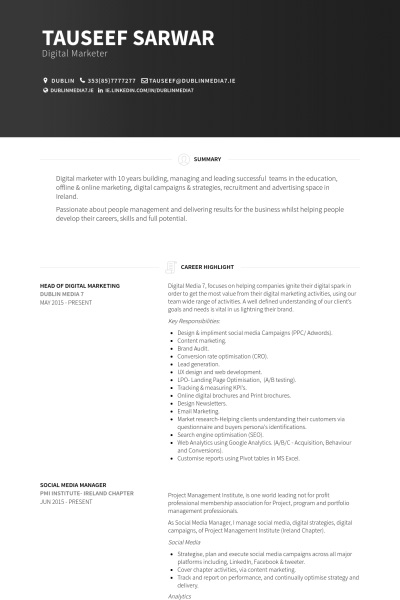 digital marketing resume example