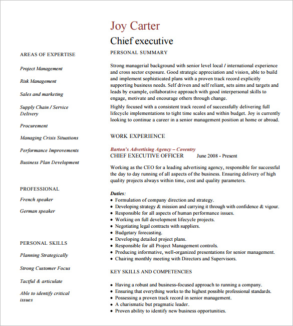 24 Best Sample Executive Resume Templates - WiseStep