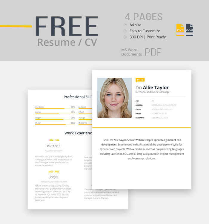 expert resume