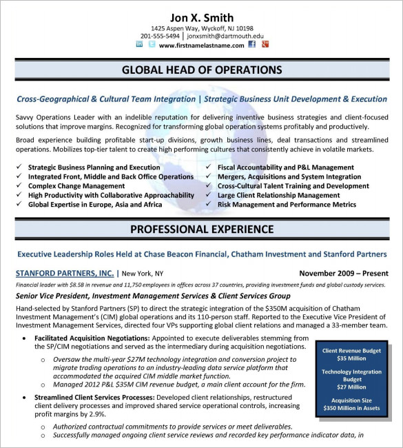 24 Best Sample Executive Resume Templates - WiseStep