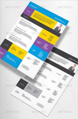 19 Contemporary Resume Templates to Impress any Employer - Wisestep