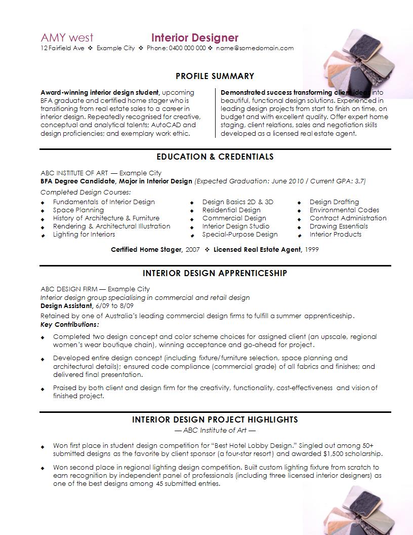 professional summary for resume designer