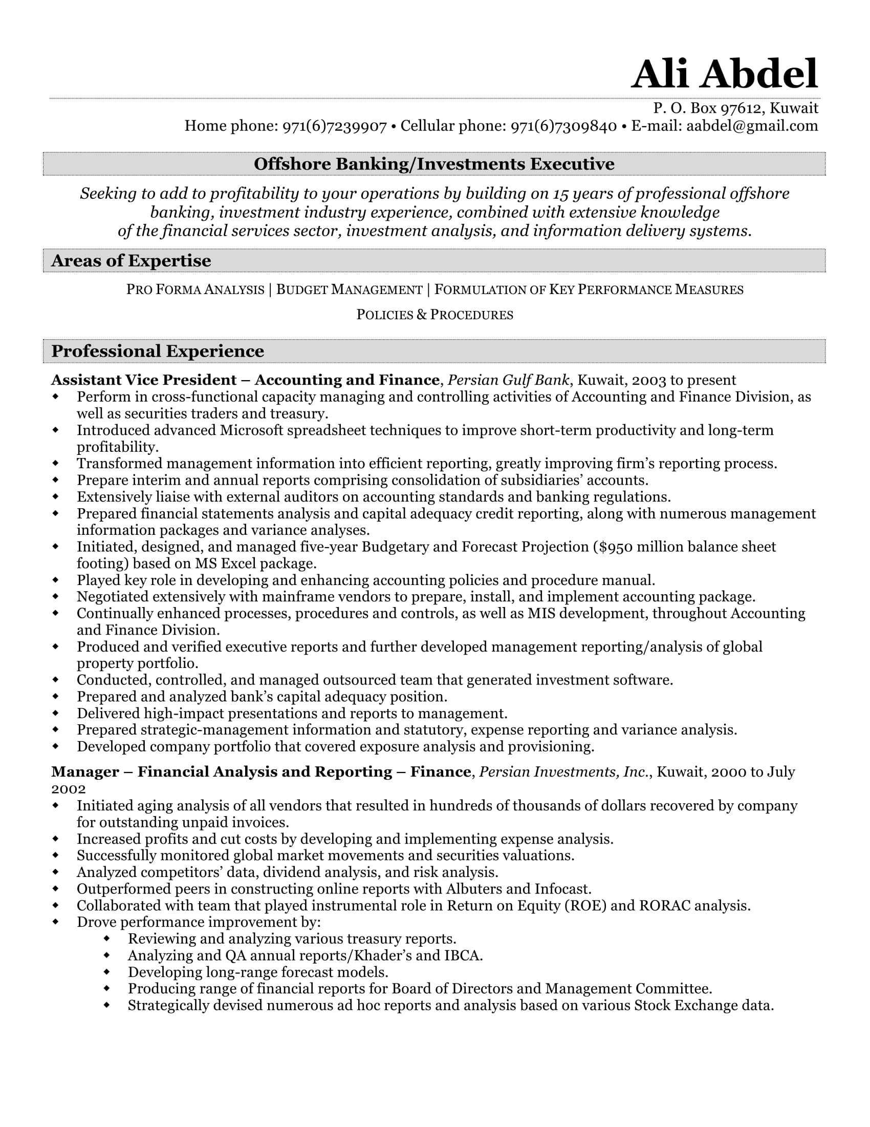 24 Best Sample Executive Resume Templates Wisestep